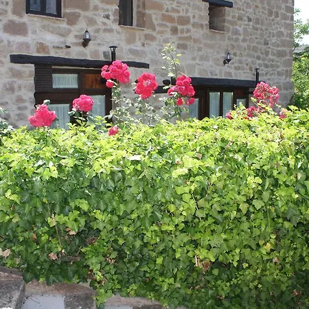 アパート Rio Mora *